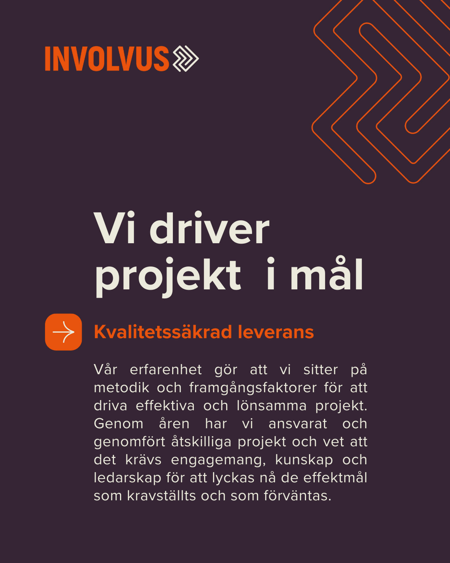 vi driver projekt